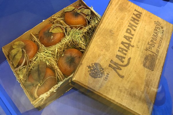 Рабочая ссылка кракен в тор