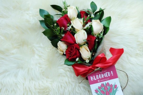 Сайт kraken в tor