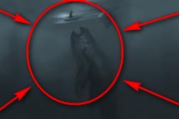 Кракен даркнет купить