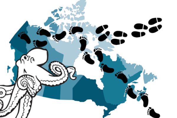 Кракен наркошоп ссылка