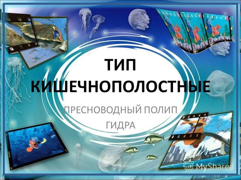Ссылка кракен магазин